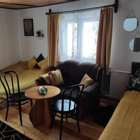 Home Stay Slotwinska Krynica Zdroj Dış mekan fotoğraf