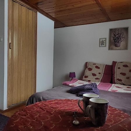 Home Stay Slotwinska Krynica Zdroj Dış mekan fotoğraf