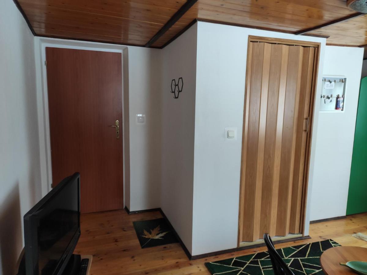 Home Stay Slotwinska Krynica Zdroj Dış mekan fotoğraf