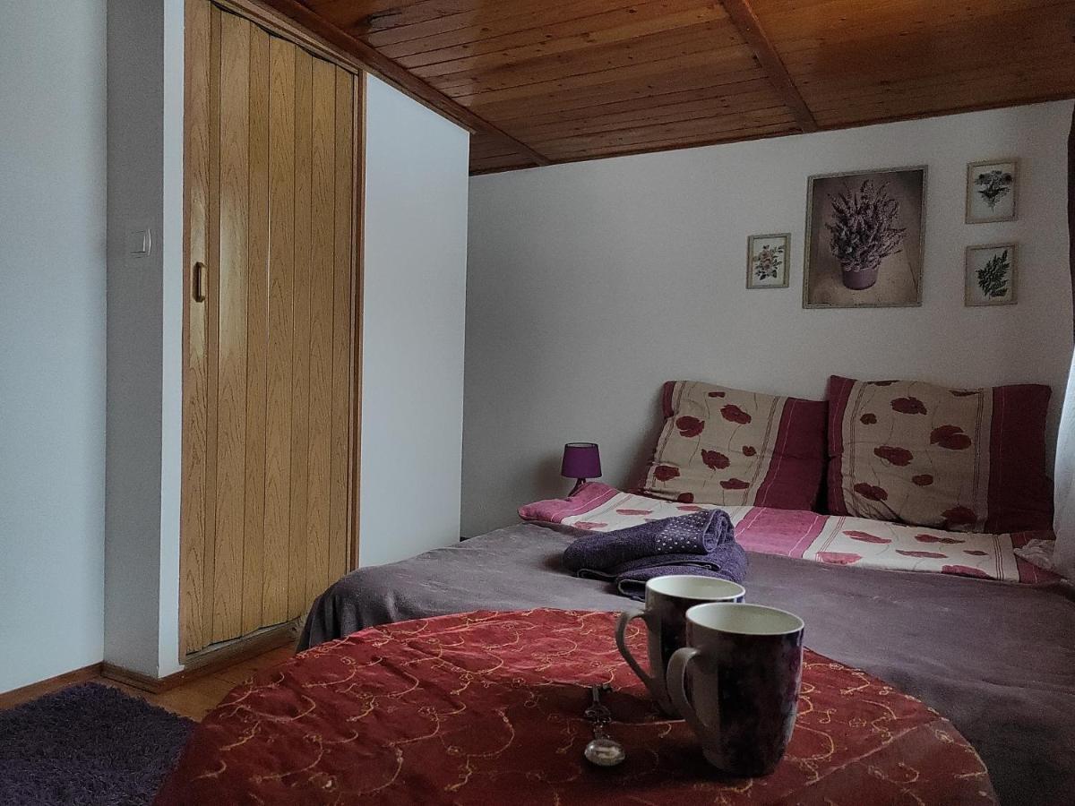 Home Stay Slotwinska Krynica Zdroj Dış mekan fotoğraf