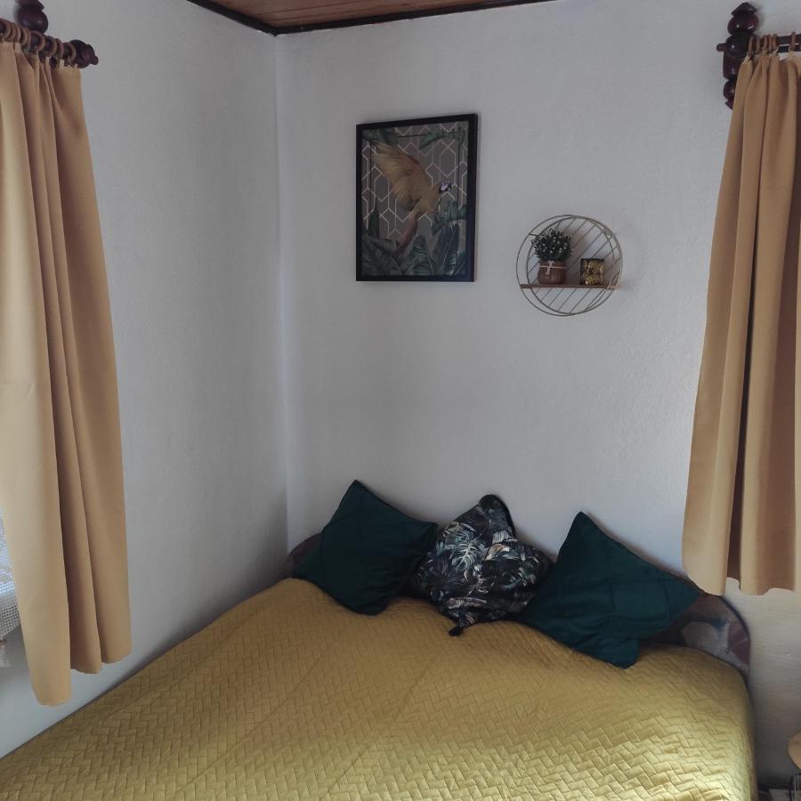 Home Stay Slotwinska Krynica Zdroj Dış mekan fotoğraf